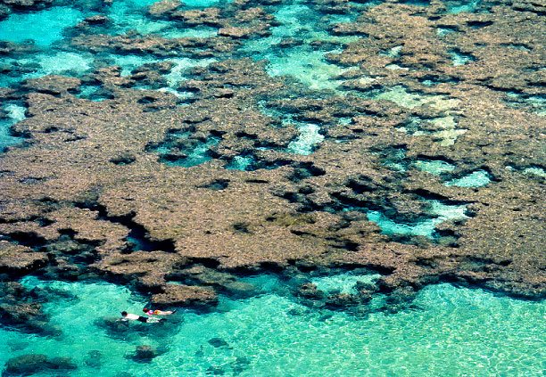 Hanauma Bay