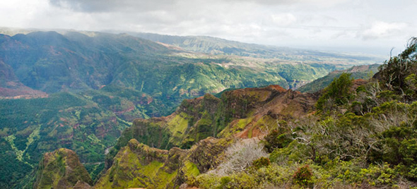 waimea canyon