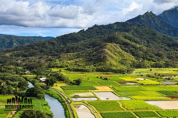 Hanalei Valley