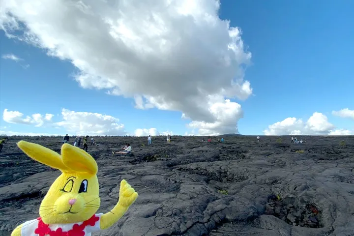 Hawaii Volcano National Park with Robert the Rabbit
