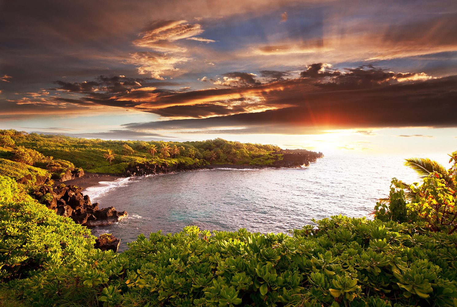 Road To Hana Tour in Maui
